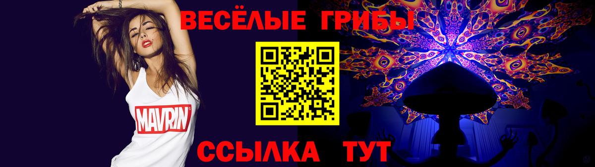 Галлюциногенные грибы Psilocybe  Вход с VPN  Вышний Волочёк 