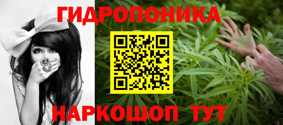 Шишки марихуана семена  Бошки Шишки гибрид  Каннабис VHQ  Вышний Волочёк  Вход с VPN 